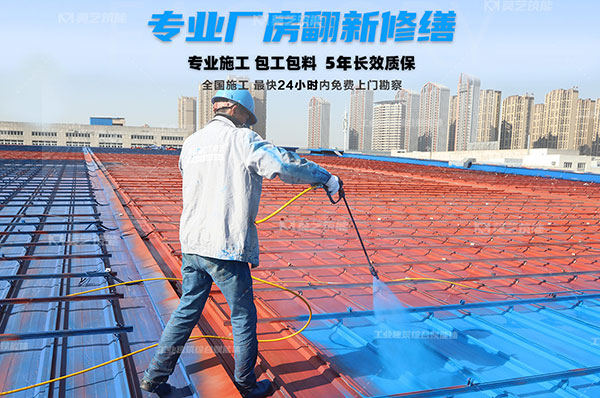 91看片网站视频成人看片APP免费手机看片网址翻新修缮包工包料