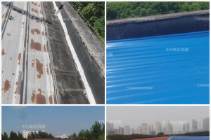苏州成人看片APP免费加固手机看片网址防腐翻新施工